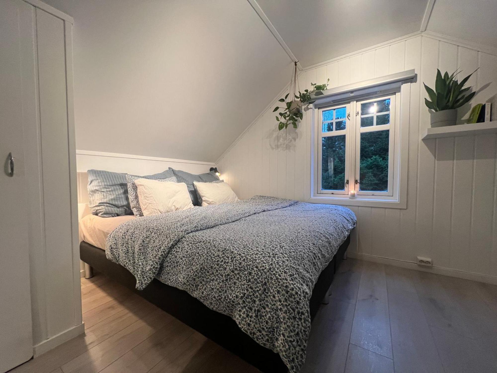 Cozy On The Hill * Trondheim